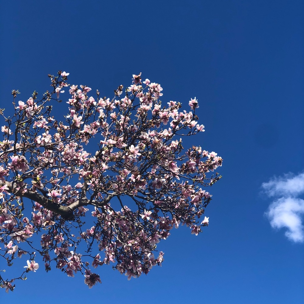 Meet your Posher, Cihat